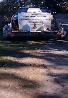 Container mit Fischen